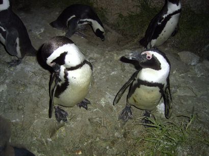 20050818-81.jpg