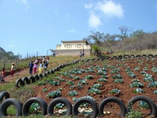 ＥＬＥＴの学校菜園を多くの学校に広げて行きたい